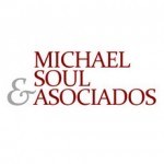 Michael Soul & Associates