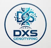 Dxs Limited