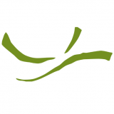Coracle Financial Services Limited