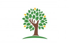 Homefield College