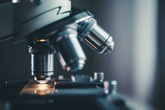 Rotech Laboratories Limited
