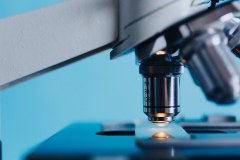 Nuffield Council On Bioethics