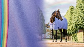 Horseware Products Limited logo