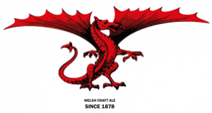 Felinfoel Co. Limited logo