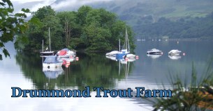 Drummond Fish Farm logo