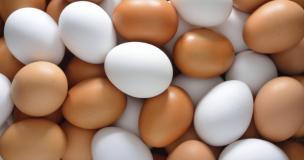 International Egg Commission