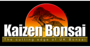 Bonsai Mart logo