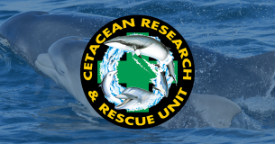 The Cetacean Research & Rescueunit logo
