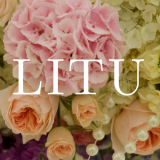 Litu Limited