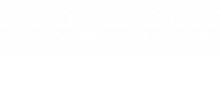 Premier Loft Ladders logo