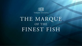 Three Oceans Fish Company Limited logo