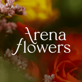 Arena Online