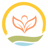 Dcruz Consulting