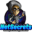Netsecrets logo