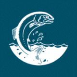 Salmon Publishing Limited logo