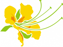 Shta logo