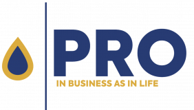 Proconsulting logo