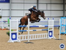 The Scotlish Equestrian Centre logo