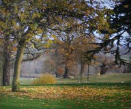 Great Tew Farms Limited