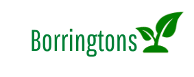 Borrington's