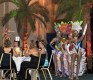 Latin-salsa Dancers And Bands
