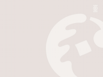 Bates Wells And Braithwaite London Llp