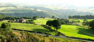Cherry Tree Cottages
