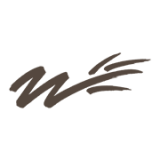 Wilson Learning logo