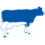 Dairymaster