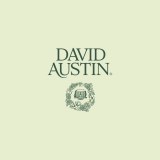 David Austin Rose Nursery Limited