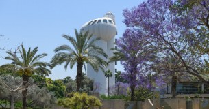 Weizmann Institute Foundation The logo