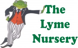 Lyme Nursery School The
