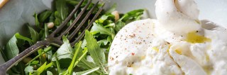 Moorlands Cheesemakers Limited