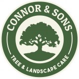 Connor And Sons Limited