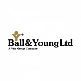 Ball And Young Division Of Vitafoan Limited