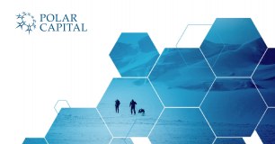 Polar Capital Llp