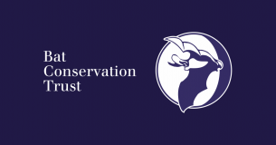 Bat Conservation Trust The