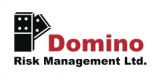 Domino Risk Management Limited Logo