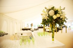 Twizzle Parties And Events