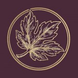 Sycamore The logo