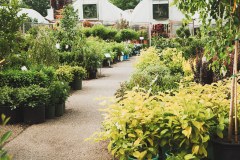 The Chepstow Garden Centre