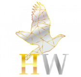 Raw 42 Music Limited logo