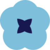 Cruse Bereavement Care Scotland logo