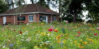 John O Conner (Grounds Maintenance) Limited