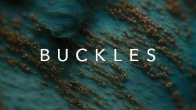 Buckle Solicitors Llp