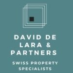 De Lara David And Partners