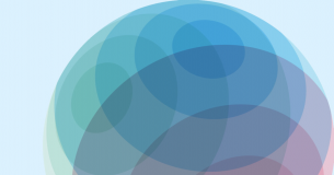 Embassy Of Finland logo