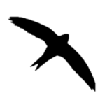 Swift Accounting Services Limited