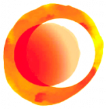 Visionary Management Limited