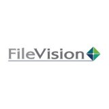 File Vision logo
